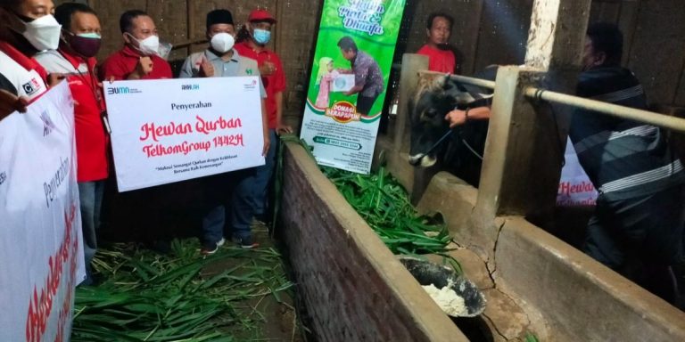 Melalui-Yayasan-Subur-Makmur-Sejahtera-Telkom-Group-Salurkan-Hewan-Kurban-Kepada-Masyarakat